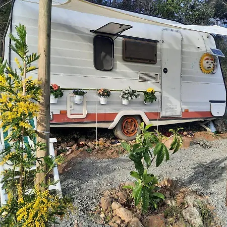 Paradise Agricamp Roccastrada Exterior photo