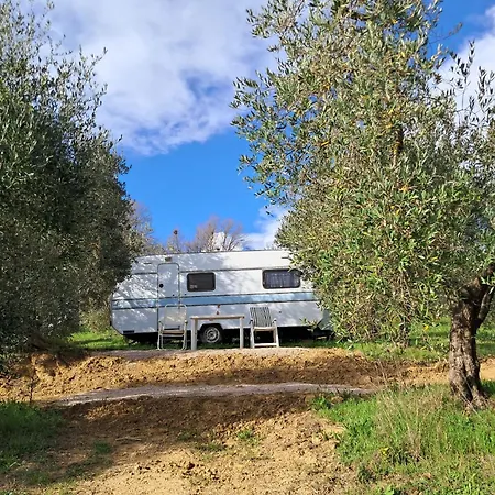 Paradise Agricamp Roccastrada Exterior photo