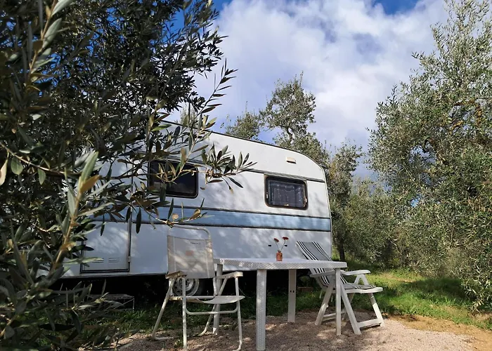 Paradise Agricamp