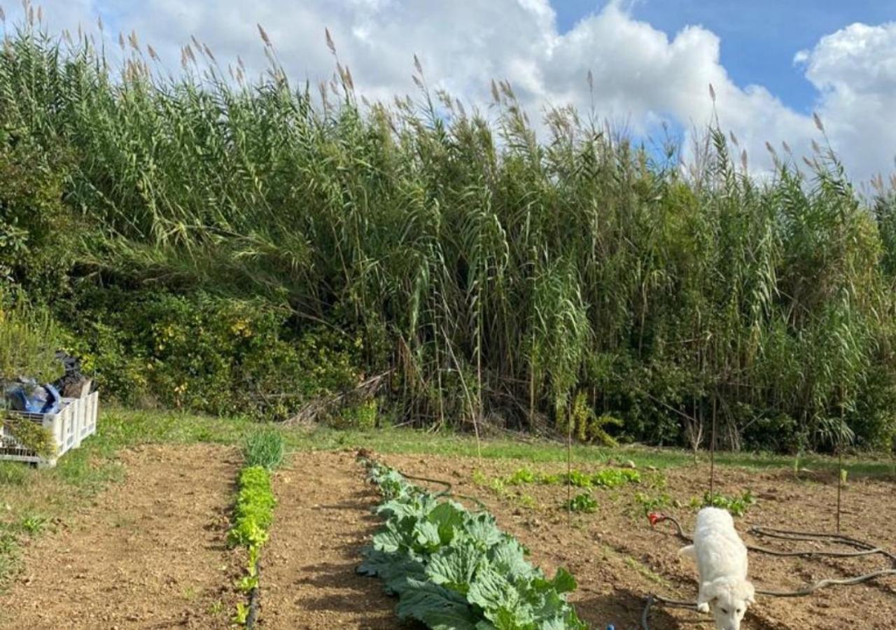 Paradise Agricamp Roccastrada