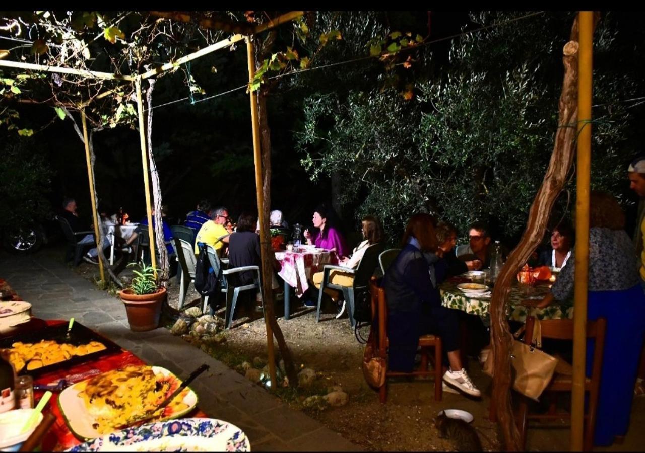 Paradise Agricamp Campsite Roccastrada