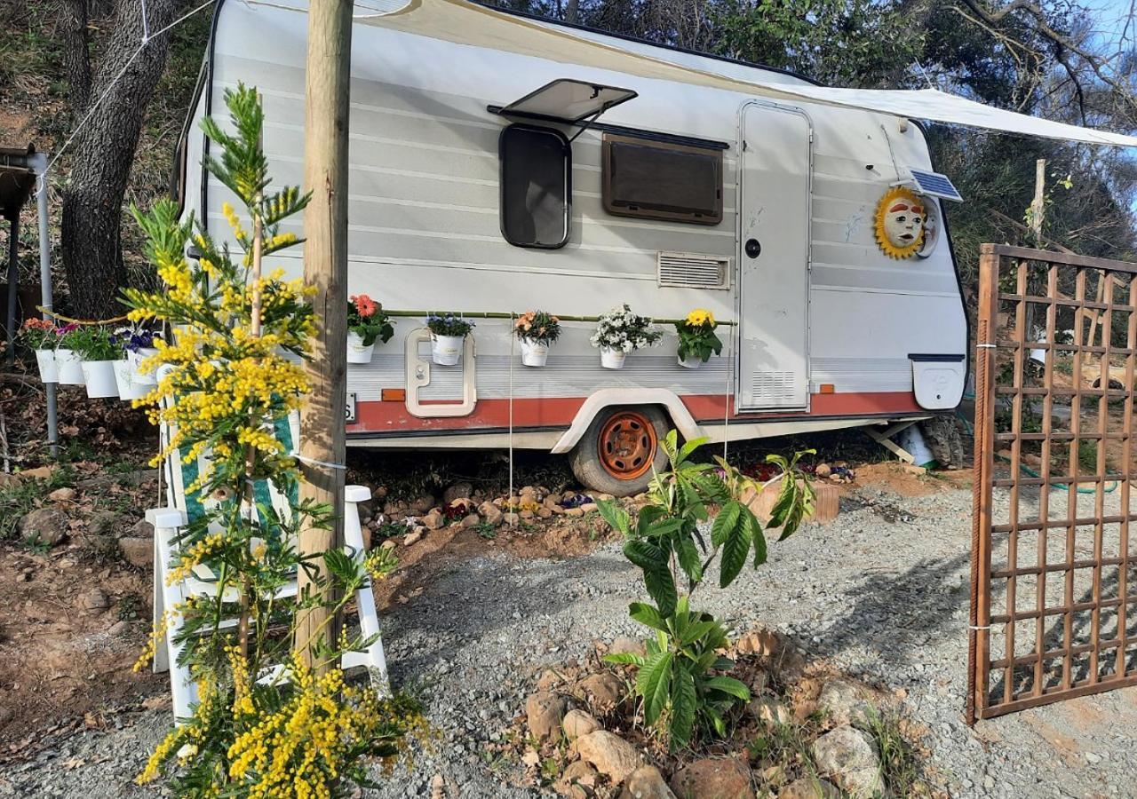 Campsite Paradise Agricamp *