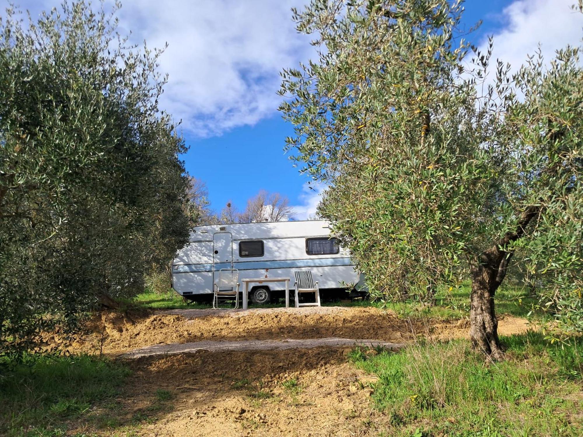 Paradise Agricamp