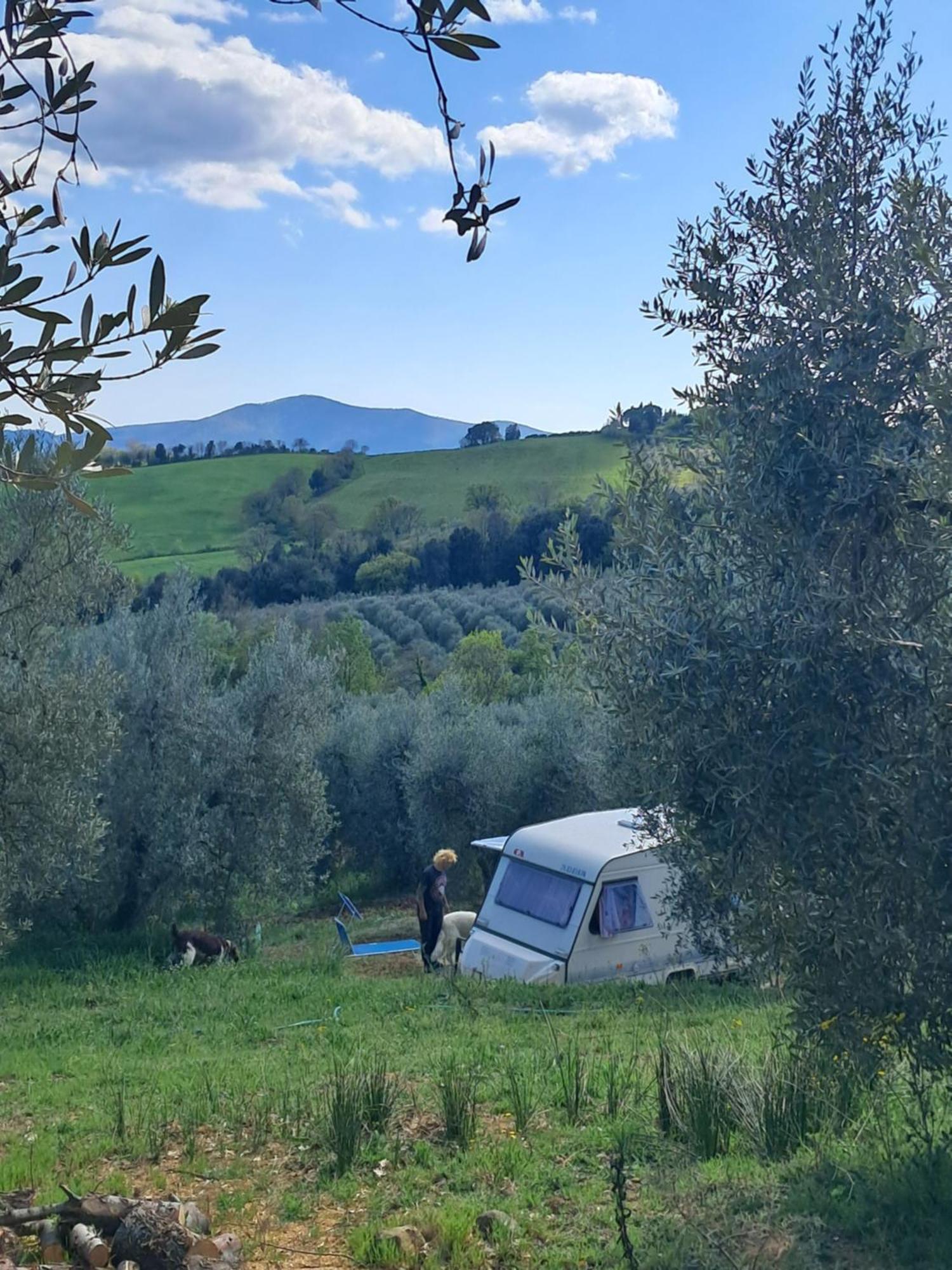 Campsite Paradise Agricamp Roccastrada