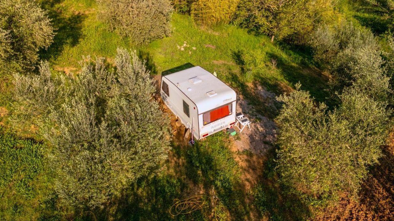 Campsite Paradise Agricamp