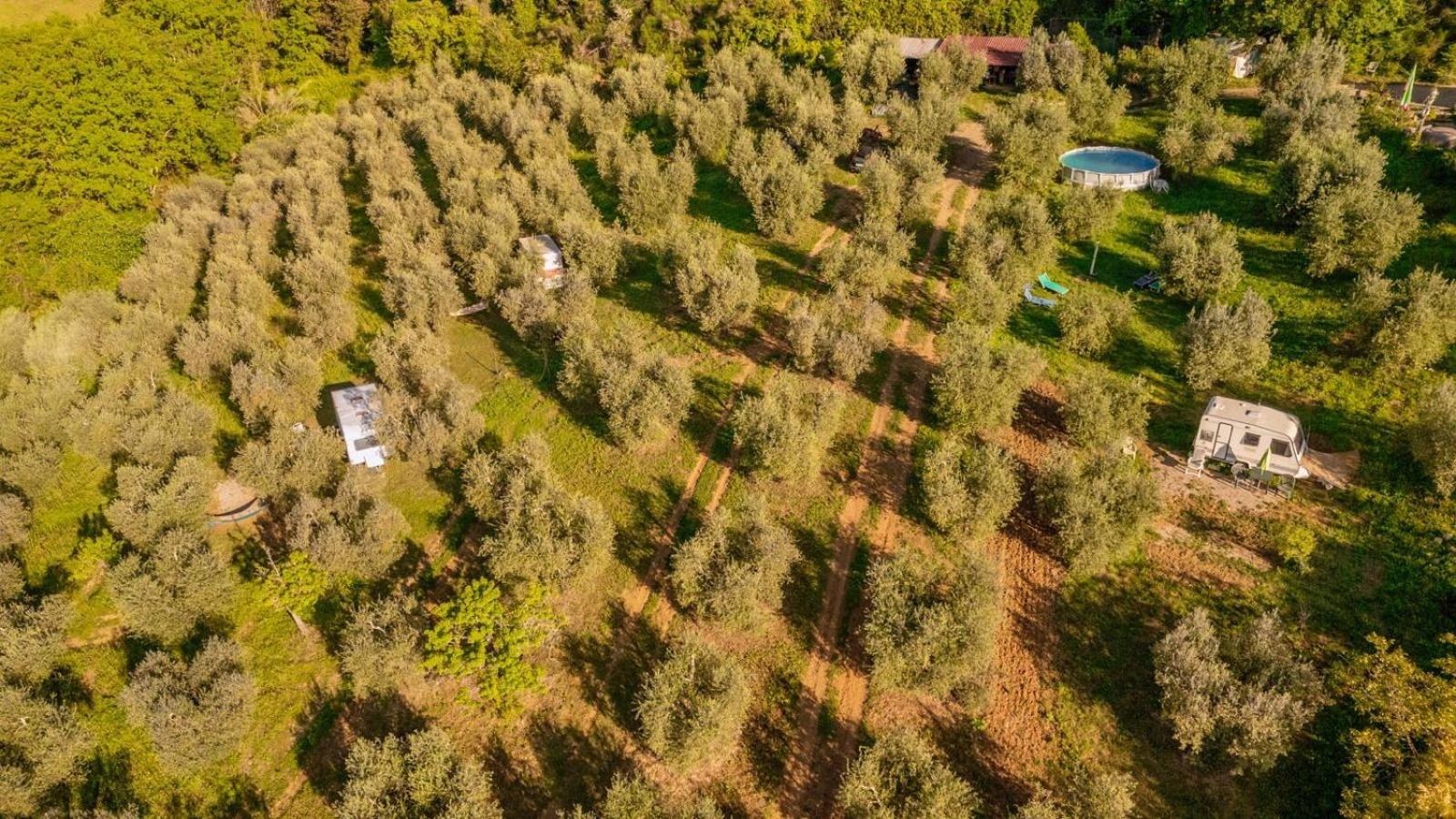 Paradise Agricamp *
